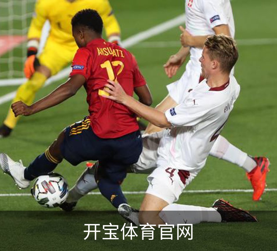 开宝体育官网概况